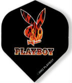 Playboy logo fire